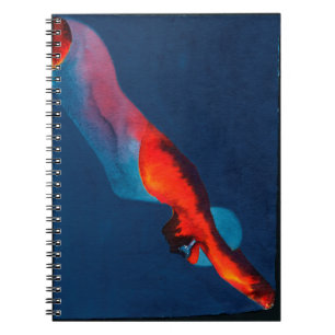 Carnet Plongeur 2011