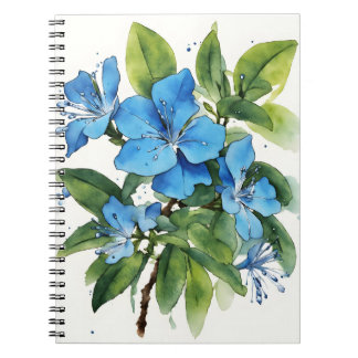 Carnet Plumbago Auriculata - Watercolor flowers
