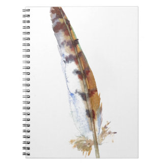 Carnet Plume de HIBOU