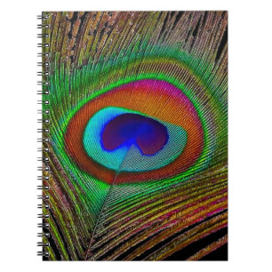 Carnet Plume de paon cuivré vibrant