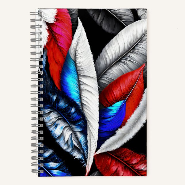 Carnet Plumes américaines (Recto)