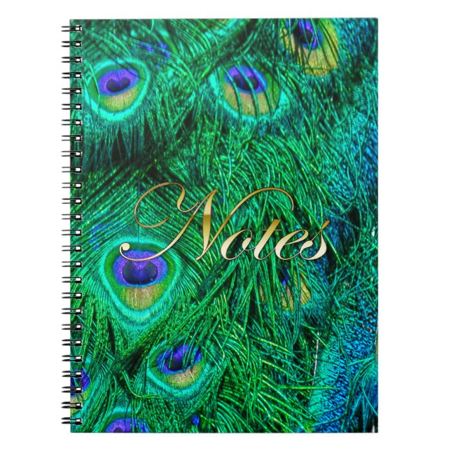 Carnet Plumes de paon rayonnantes Conception photo (Devant)