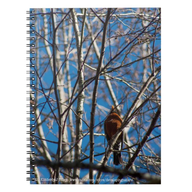 Carnet Plus haut (Devant)