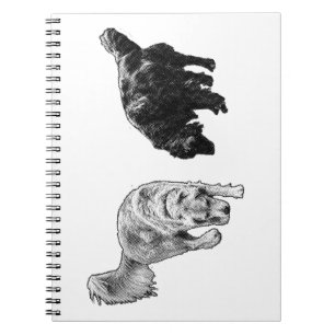 Carnet Points Café-Nook — Retriever Duo