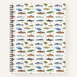 Carnet Poisson et baits