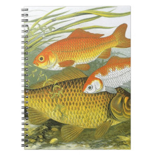 Carnet Poisson Koï Carpe Rouge, Vieille Marine Vie Aquati
