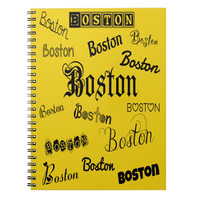 Carnet Polices noires de Boston (Devant)
