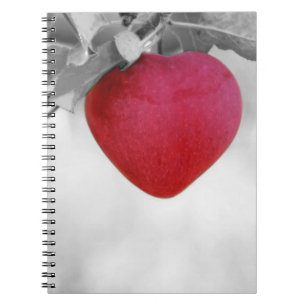 Carnet Pomme en forme de coeur rouge dramatique
