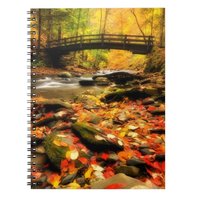 Carnet Pont en bois et crique dans l'automne (Devant)