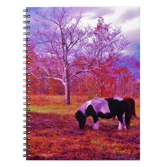 Carnet PONY dans un champ de couleur PLANCHE (Devant)