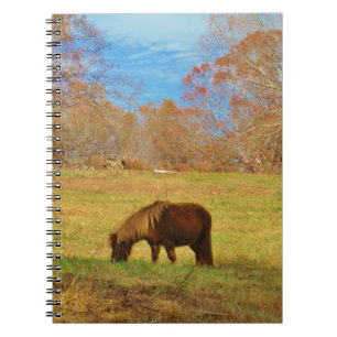 Carnet Pony miniature Brown