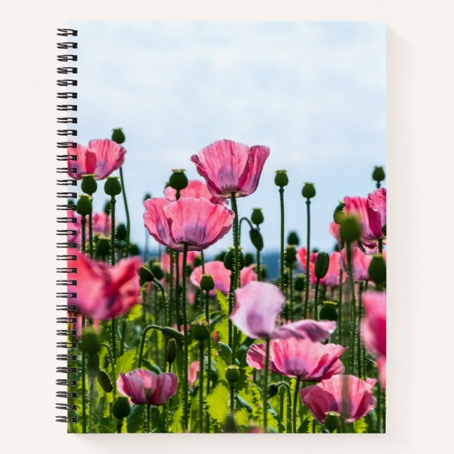 Carnet Poppies roses (Devant)