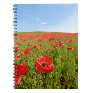 Carnet Poppy field