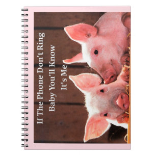 Carnet Porc drôle Memes avec des énonciations et des