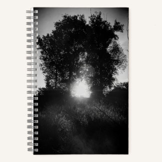 Carnet Porte du paradis