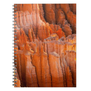 Carnet Porte-malheurs de roche dans la lumière de matin