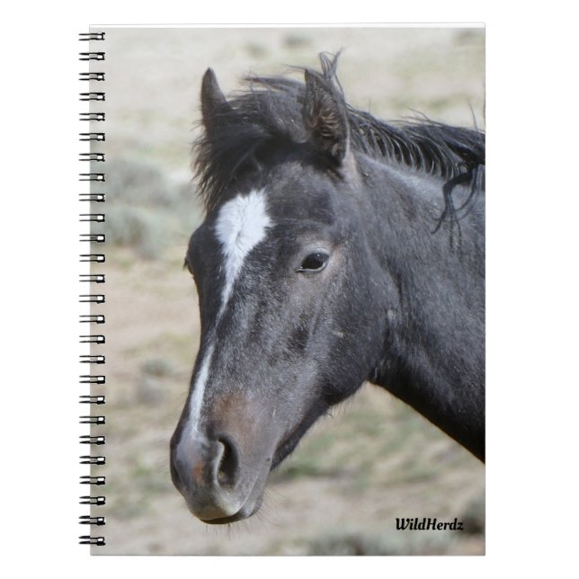 Carnet Portebook Poseidon de Sand Wash Basin (Devant)