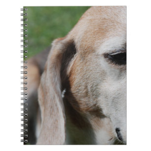 Carnet Portrait