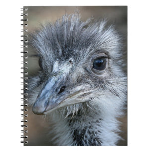 Carnet Portrait américain de nandou