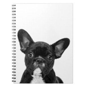 Carnet Portrait de Chien de France Noir et Blanc