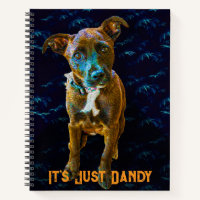 Portrait de chien pop art coloré — «C'est juste fo