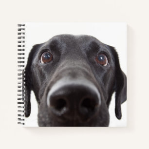 Carnet Portrait de fermeture Black Labrador