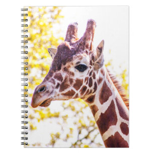 Carnet Portrait de Giraffe