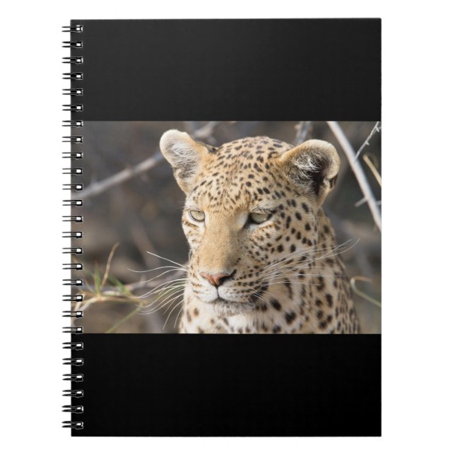 Carnet Portrait de Léopard (Devant)