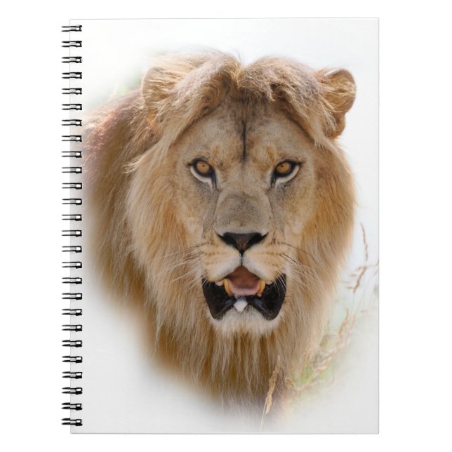 Carnet Portrait de lion (Devant)