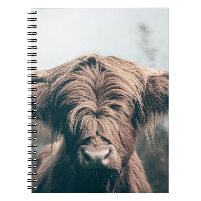 Carnet Portrait de vache Highland (Devant)