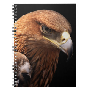 Carnet Portrait d'Eagle d'isolement sur le noir