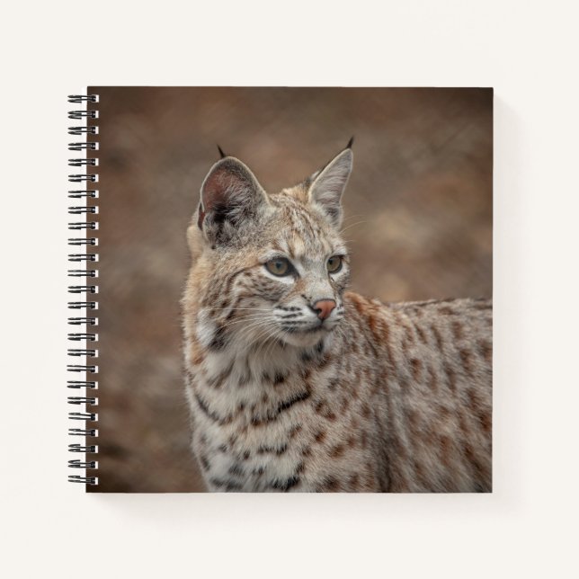 Carnet Portrait d'un Bobcat (Devant)