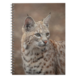 Carnet Portrait d'un Bobcat