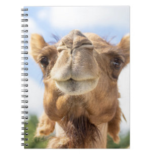 Carnet Portrait d'un chameau