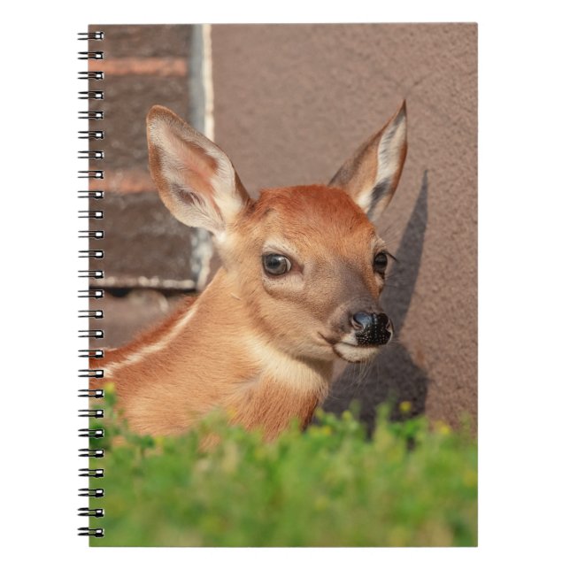 Carnet Portrait d'un faon (cerf de Virginie) (Devant)