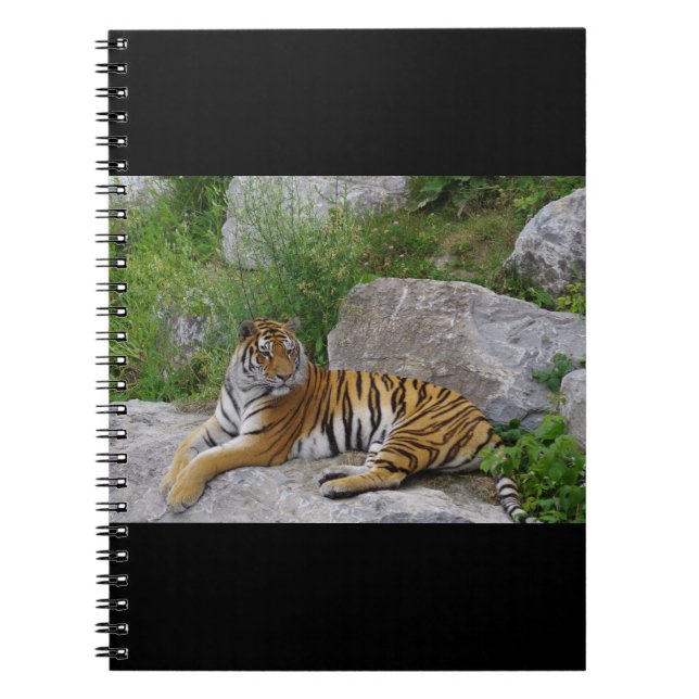 Carnet Portrait photo d'un tigre de Sibérie (Devant)