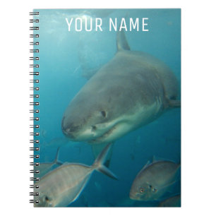 Carnet Portrait sous-marin de grand requin blanc sur mesu