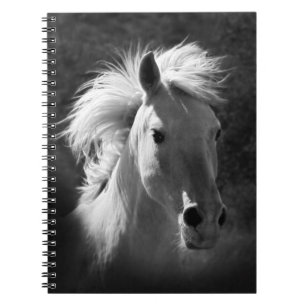 Carnet Portrait V de cheval
