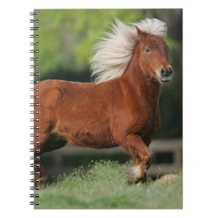 Carnet Position miniature de cheval