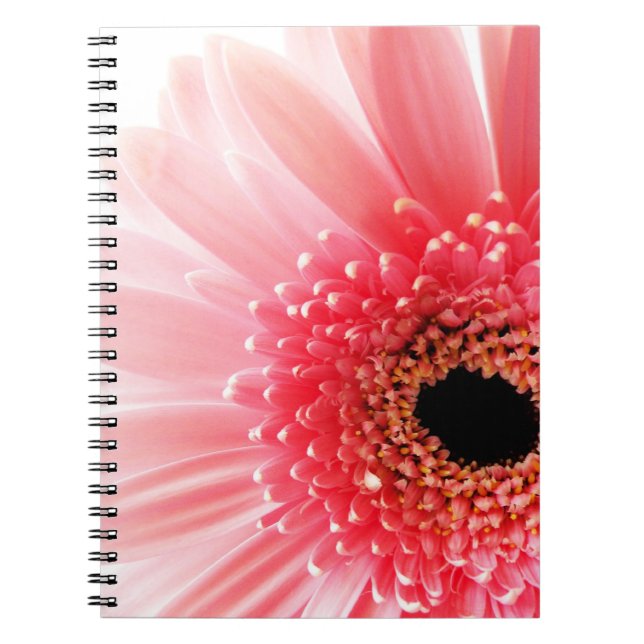 Carnet Poster Gerbera Daisy (Devant)