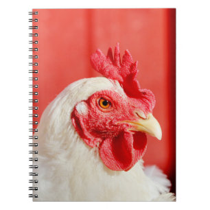 Carnet Poulet de ferme