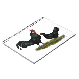 Carnet Poulets Augsburger