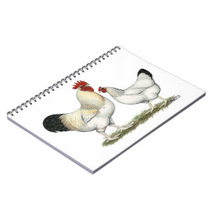 Carnet Poulets de la rivière Indian