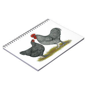 Carnet Poulets de Maline