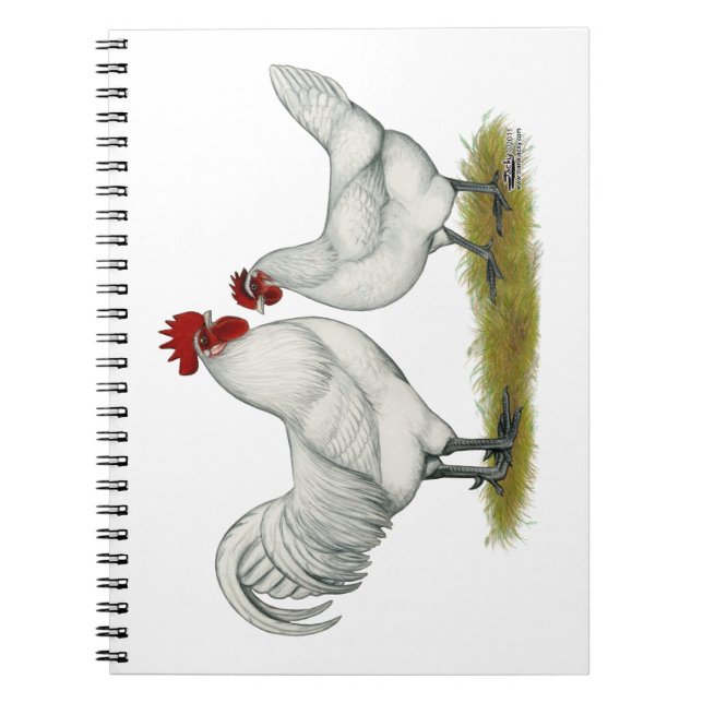 Carnet Poulets de pieds bleus (Devant)