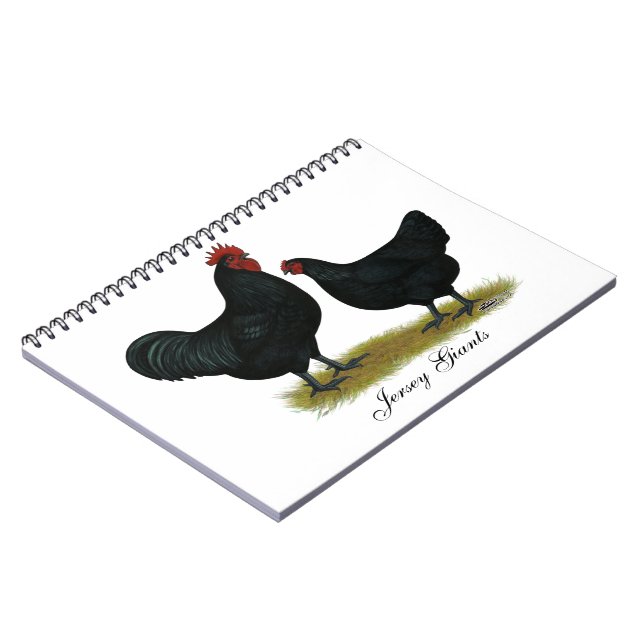 Carnet Poulets géants Jersey (Côté gauche)