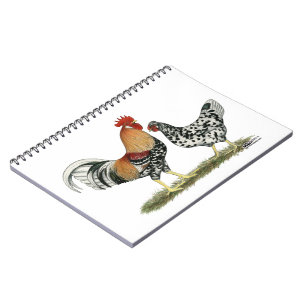 Carnet Poulets islandais