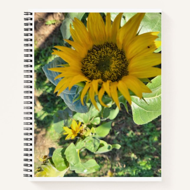 Carnet Pour l'esquisse, le dessin, la journalisation (Devant)