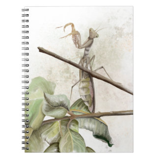 Carnet Pray Mantis watercolor