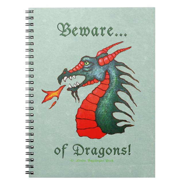 Carnet Prenez garde de la peinture de dragons (Devant)